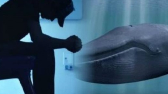 Casa spinge i giovani verso le sfide della balena blu? - Optima Italia