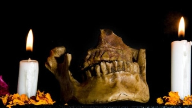 Folli gruppi della morte su internet - Panorama