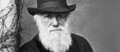 Charles Darwin: el naturista que revolucion&oacute; la biolog&iacute;a - laizquierdadiario.com