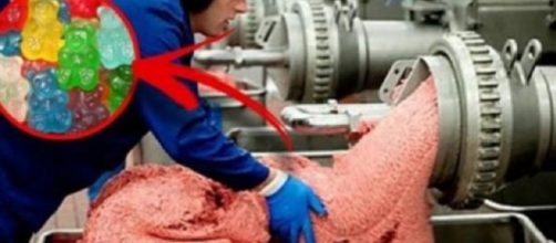 7 coisas que voc&ecirc; nunca mais ir&aacute; comer se souber do que s&atilde;o feitas