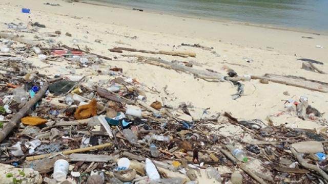 La spiaggia piena di detriti disseminati