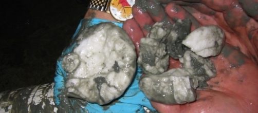 China claims major energy breakthrough with 'flammable ice ... - inhabitat.com