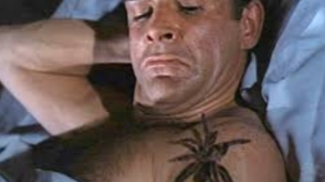 Gli animali pi&ugrave; letal del mondo - Diggita