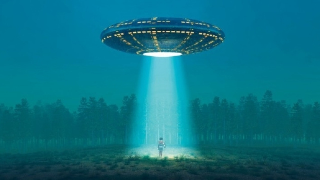 Haunted Forest - Hoia Baciu Forest - hoiabaciuforest.com