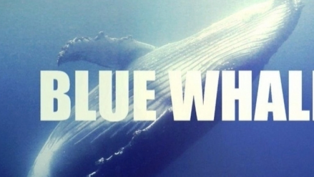 Il fenomeno del "Blue Whale", cosa &egrave;?