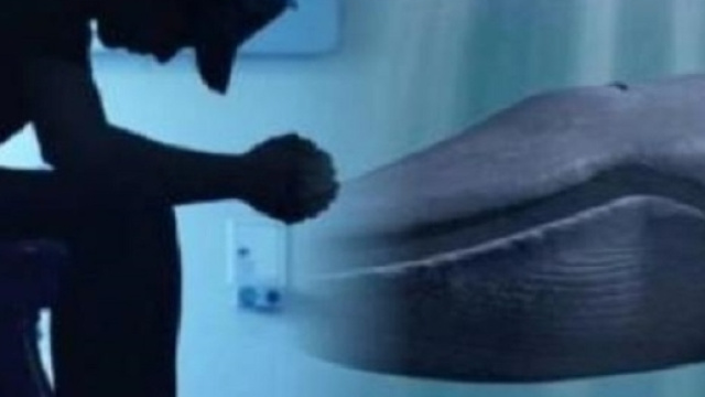 Livorno, Teramo, Pescara, Messina, Livorno e Genova: casi di Blue Whale in tutta la penisola