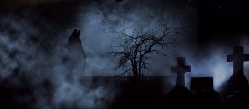 Cemetery &ndash; the house of death, Pixabay https://pixabay.com/en/cemetery-creepy-moon-wolf-night-395953/