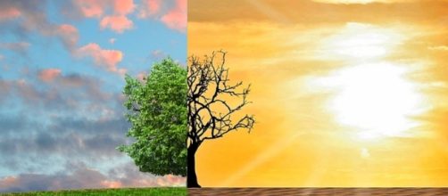 Climate Change/ Photo via CCO Public domain, Pixabay