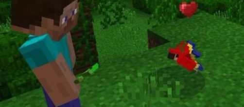 Minecraft will patch parrots to protect real-life pets &bull; Eurogamer.net - eurogamer.net