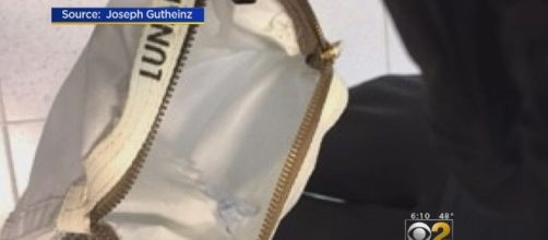 Why NASA had to give back a bag of moon dust to Chicago woman ... - csmonitor.com