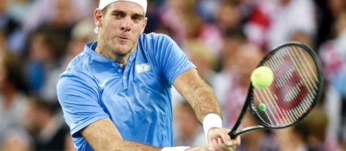 Unfit Argentinean Juan Martin del Potro withdraws from Australian ... - scmp.com