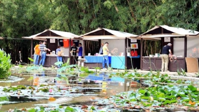 Una Marina Di Libri edizione 2016 fonte http://piazzamarinaedintorni.org/grande-successo-marina-libri-nasce-biblioteca-centro-storico/