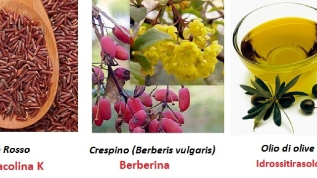 Una miscela di integratori alimentari naturali riesce a ridurre le LDL-C in misura paragonabile alle statine.