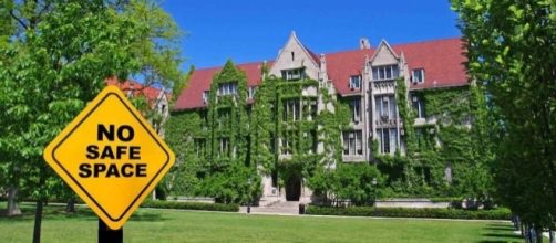 "College campuses are supposed to be where diversity of opinion is celebrated, not silenced" - loyolaphoenix.com