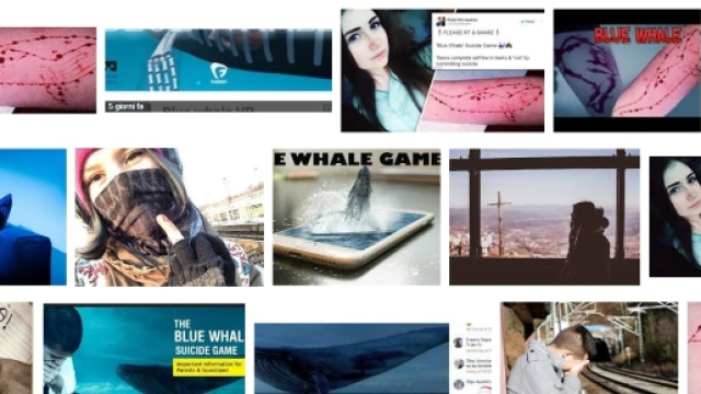 suicidi e pericoli del gioco Blue Whale