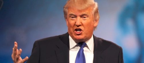 Donald Trump / Gage Skidmore Flickr