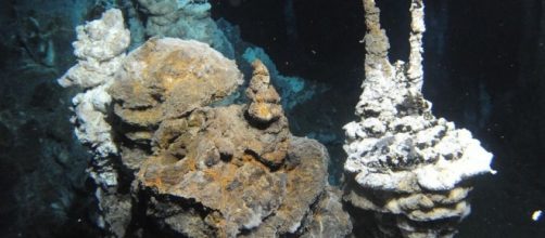 Missing link in evolution of complex life found - Market Business News - marketbusinessnews.com