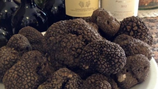 Funghi e tatufi dovranno avere la provenienza indicata sull'etichetta