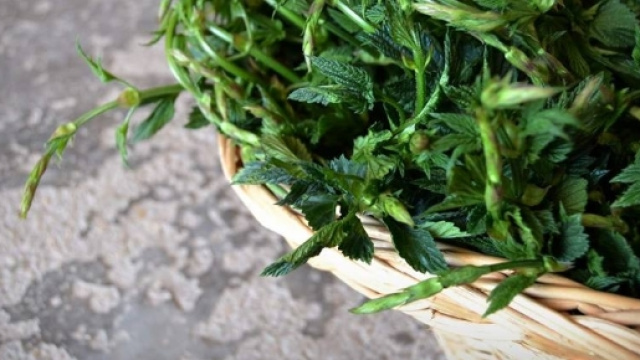 L'ingrediente segreto della cucina monacale: le erbe.