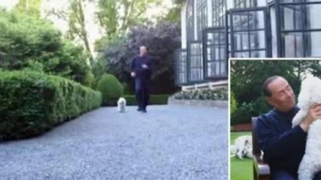 Silvio Berlusconi corre con i cani