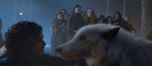 Game of Thrones - Is the real life Ghost dead? Screencap: valar morghulis via YouTube
