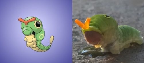 Conhe&ccedil;a 10 Pok&eacute;mons inspirados em seres da vida real (Foto: Reprodu&ccedil;&atilde;o/Garotas Geeks)