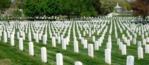 Memorial Day Honoring Those Lost CC0 Public Domain Maxpixel