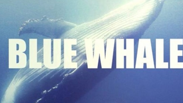 Blue Whale: caso sospetto in Italia.