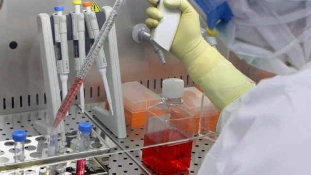 Sclerosi Multipla: nuova sperimentazione con staminali