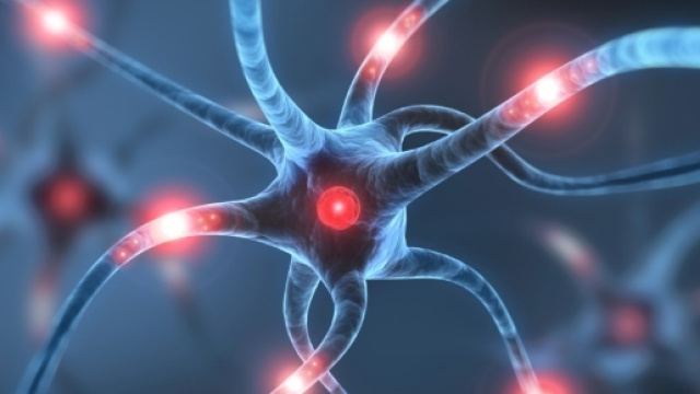 Sclerosi multipla - Primo Trial al mondo al San Raffaele di Milano tester&agrave; la sicurezza e l'efficacia delle cellule staminali neuronali