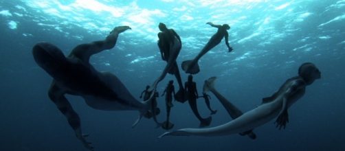 Informe: &iquest;Existen las sirenas? &iquest;Mito o realidad? &bull; MundoTKM - mundotkm.com