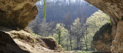 Method to extract ancient human DNA from cave floor dirt ... - japantimes.co.jp