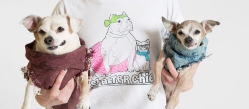 Shelter Chic has a mission to get animals adopted. / Photo via Brittany Feldman, Shelter Chic. Used with permission.