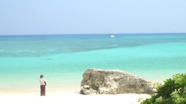 La dieta Okinawa contrasta le malattie neurodegenerative.