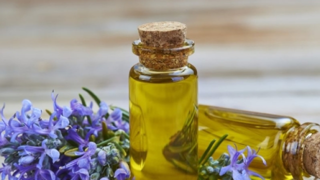 Olio essenziale di rosmarino: migliora la memoria e le capacit&agrave; intelletive - Hod.it - hod.it