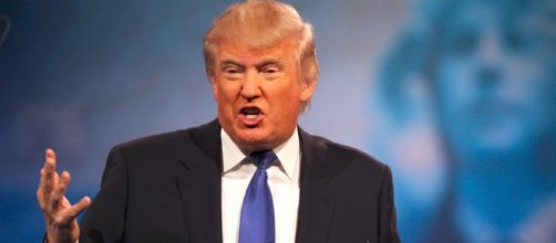 Donald Trump | by Gage Skidmore Donald Trump / via Flickr