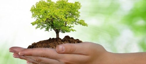 Revista Grandplace - revistagrandplace.com