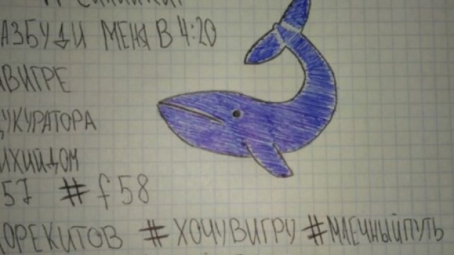 Blue Whale, il tragico gioco che porta al suicidio - leggo.it