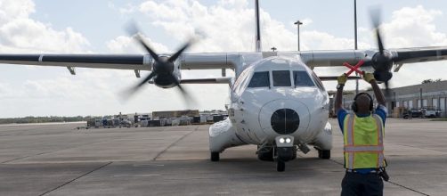 File:Rescued manatee at Orlando International Airport (5).jpg ... - wikimedia.org