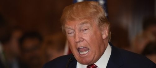 Fox News Host Gets Called Out For Defending Donald Trump - thefederalist.com