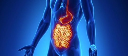 Human body image via BN library