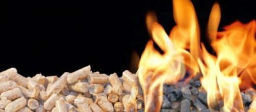 La biomasa es una energ&iacute;a renovable mucho menos contaminante que las energ&iacute;as f&oacute;siles