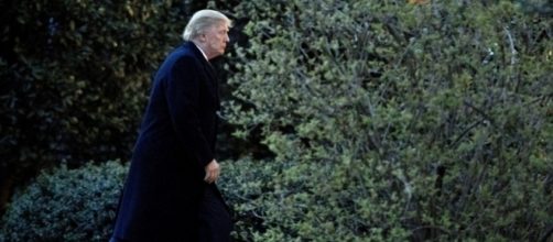 Something 'fishy' going on with Trump's Twitter? Photo: Blasting News Library