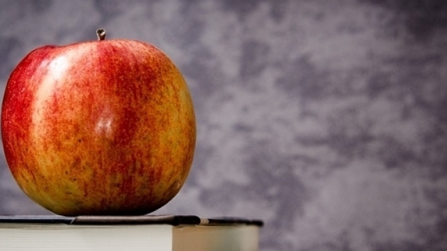 Concorso per dirigenti scolastici entro luglio