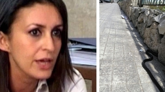 Siracusa: preoccupanti condizioni igienico-sanitarie in Piazza della Vittoria.