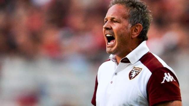 Calciomercato Torino, ecco l'attaccante richiesto da Mihajlovic
