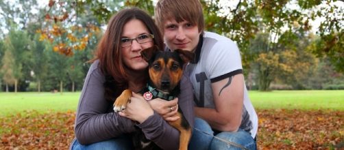 Perros con custodia compartida en Portugal