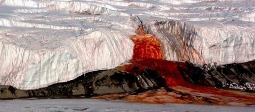 Scientists solved the 100-year-old mystery of Antarctica's Blood ... - businessinsider.com