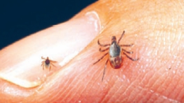 Le cose che non dovete sapere: La storia segreta dell'AIDS ... - altervista.org