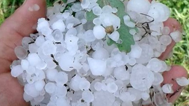 Maltempo: ieri una grandinata a fatto crollare il soffitto di un supermercato. Allarme Coldiretti: danni a vigneti, frutteti e serre.